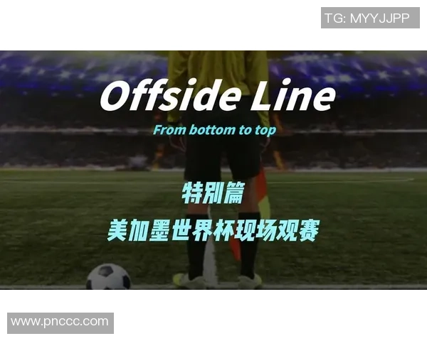 围绕美加墨世界杯展开全球足球盛事对社会文化经济影响力深度解析